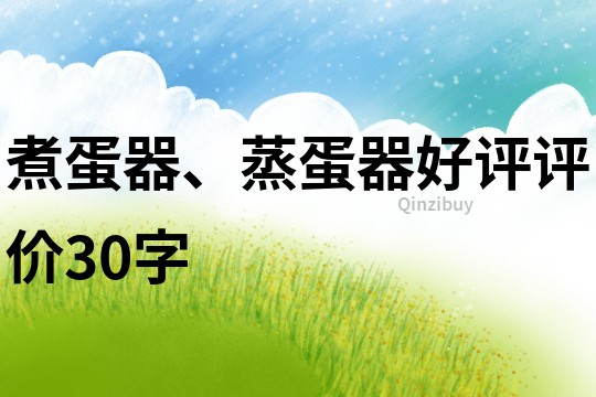 煮蛋器、蒸蛋器好评评价30字