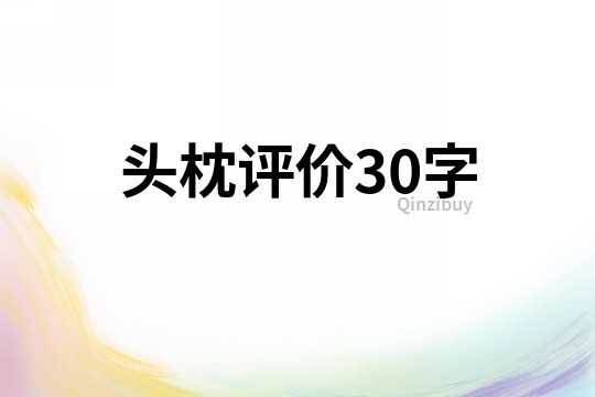 头枕评价30字