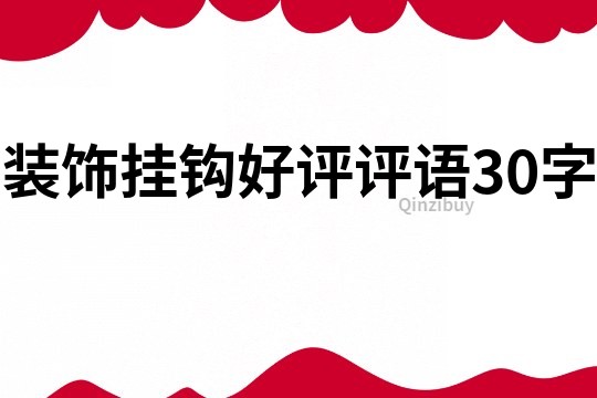 装饰挂钩好评评语30字