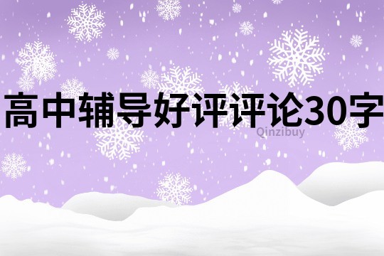 高中辅导好评评论30字