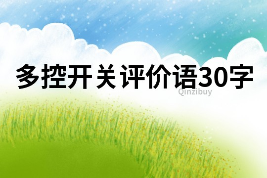 多控开关评价语30字