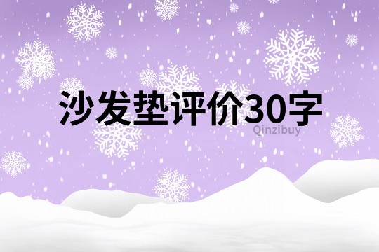 沙发垫评价30字