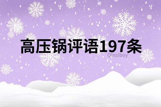 高压锅评语197条