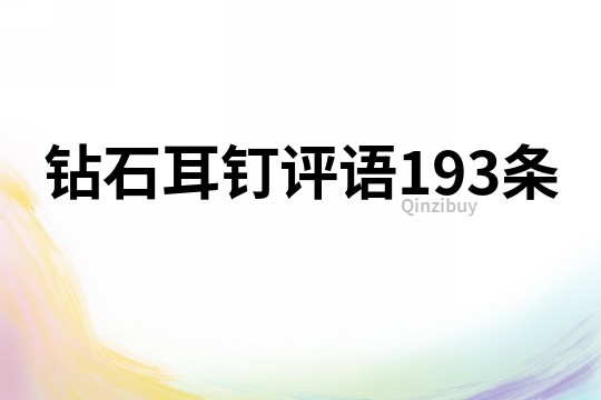 钻石耳钉评语193条