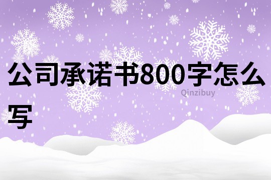 公司承诺书800字怎么写