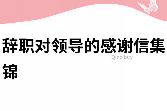 辞职对领导的感谢信集锦