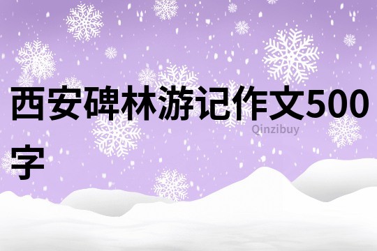 西安碑林游记作文500字