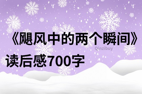 《飓风中的两个瞬间》读后感700字