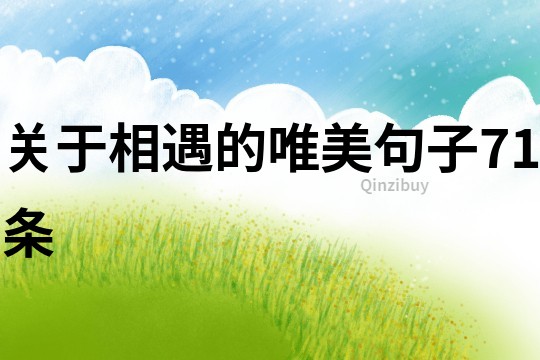 关于相遇的唯美句子71条