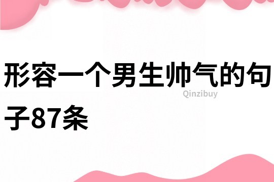 形容一个男生帅气的句子87条