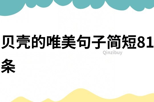 贝壳的唯美句子简短81条