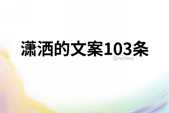 潇洒的文案103条
