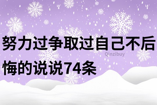 努力过,争取过,自己不后悔的说说74条