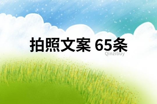 拍照文案	65条
