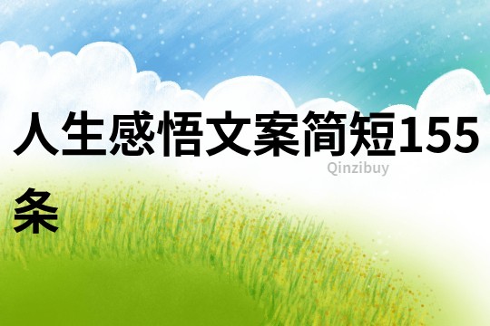 人生感悟文案简短155条