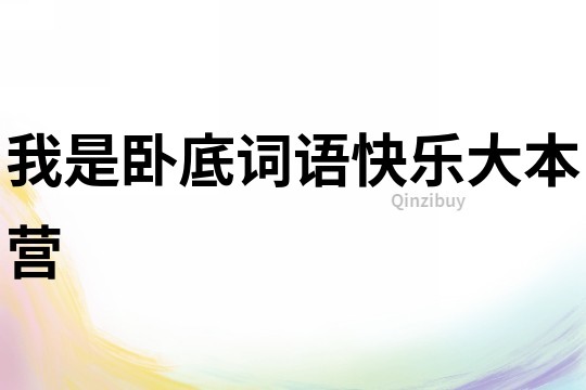 我是卧底词语快乐大本营