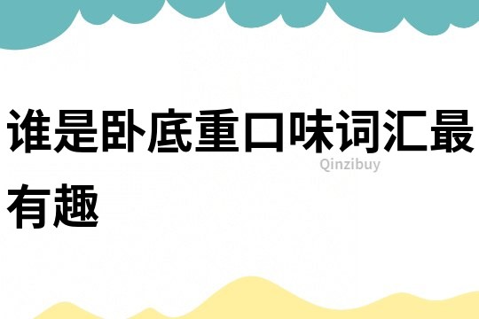 谁是卧底重口味词汇最有趣