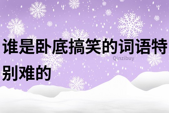 谁是卧底搞笑的词语特别难的