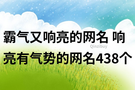 霸气又响亮的网名 响亮有气势的网名438个