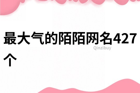 最大气的陌陌网名427个