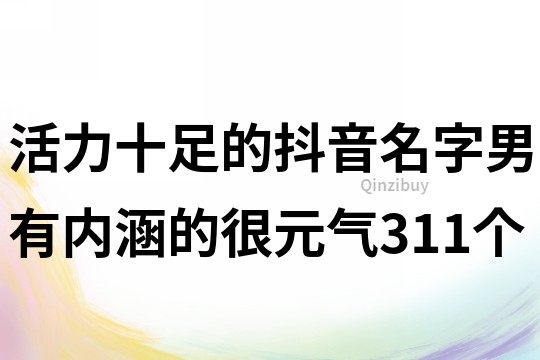 活力十足的抖音名字男有内涵的很元气311个