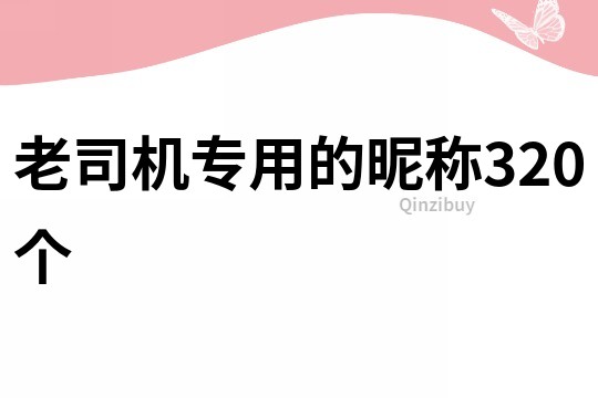 老司机专用的昵称320个