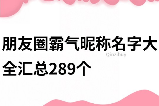 朋友圈霸气昵称名字大全汇总289个