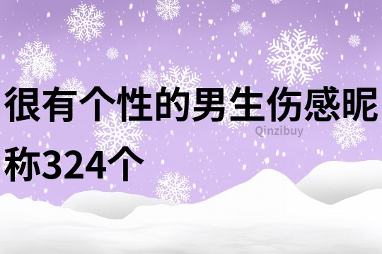 很有个性的男生伤感昵称324个