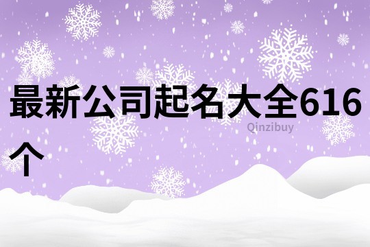 最新公司起名大全616个