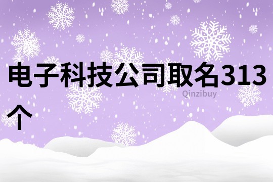 电子科技公司取名313个