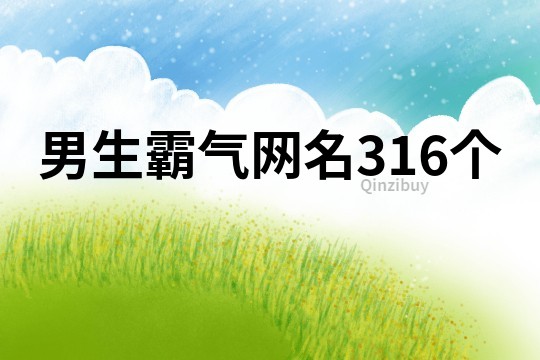 男生霸气网名316个