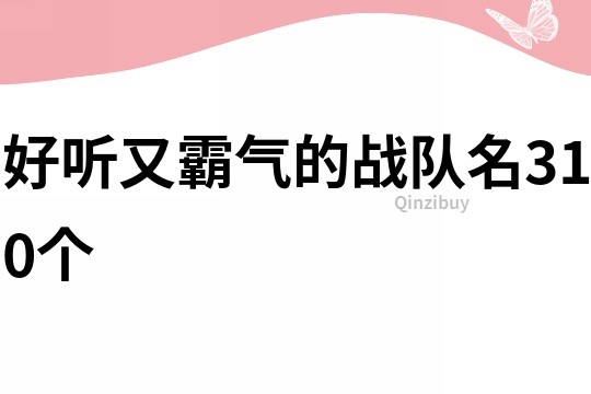 好听又霸气的战队名310个