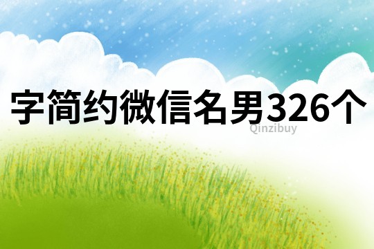字简约微信名男326个