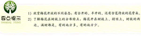 幼儿园大班画画教案设计:梅花
