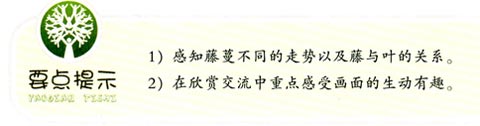 幼儿园大班画画教案设计:藤蔓植物