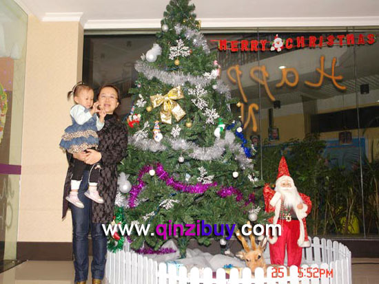 幼儿园圣诞节环境布置:大门3