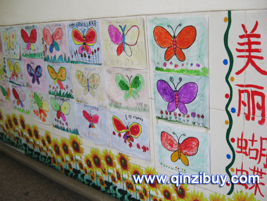 春天环境:美丽蝴蝶