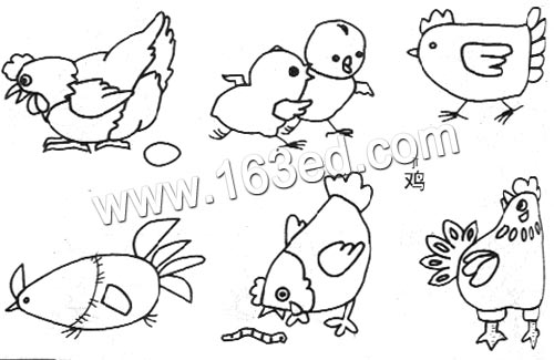 动物简笔画小鸡