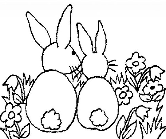 两只兔子简笔画 兔子简笔画图片大全 小兔子简笔画 