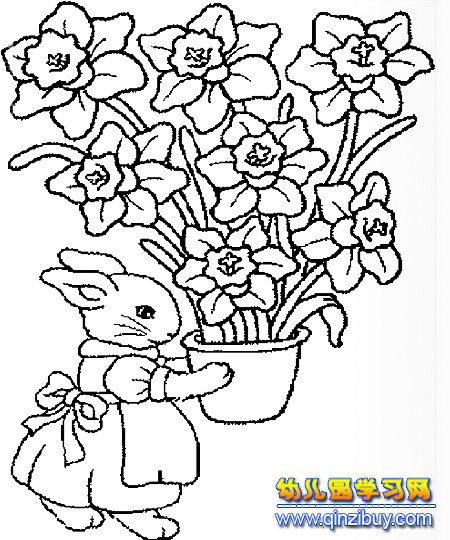 幼儿园兔子头简笔画