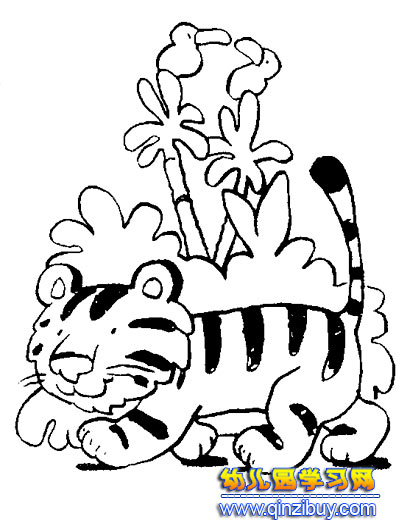 小老虎的简笔画7