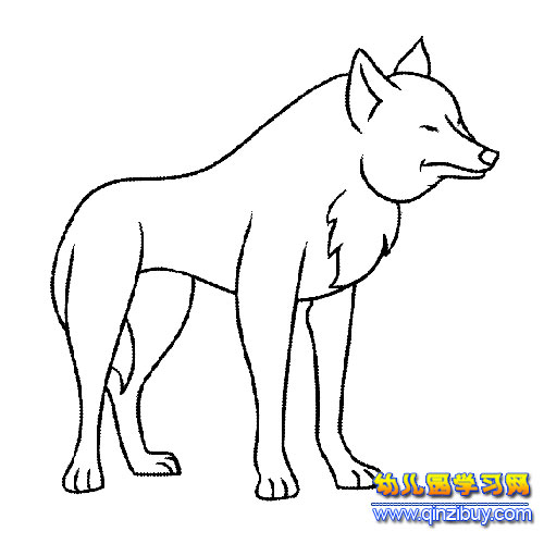 简笔画:一只狼1-幼儿园教案网