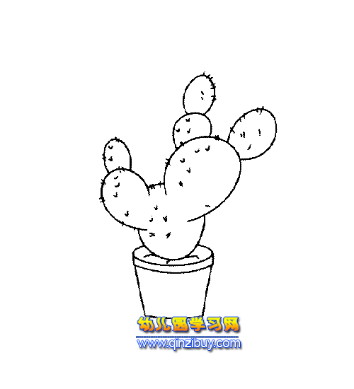 盆景仙人球简笔画4