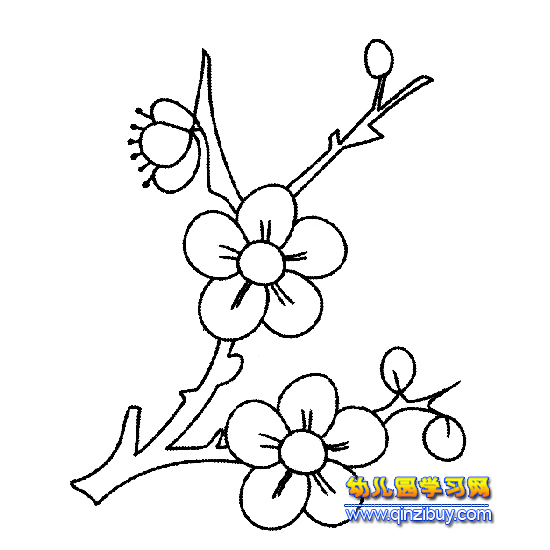 漂亮的梅花简笔画3-幼儿园教案网