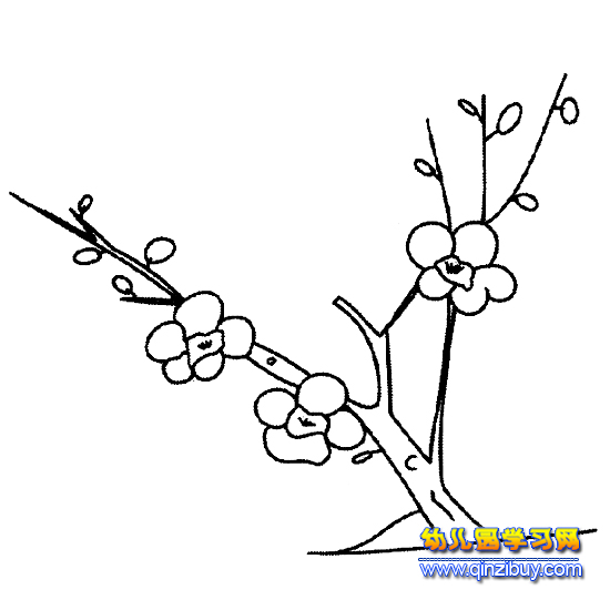 梅花简笔画│一颗梅树3