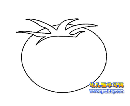 好吃的西红柿简笔画3