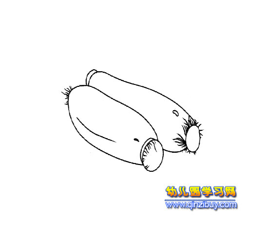 美味的莲藕│简笔画4