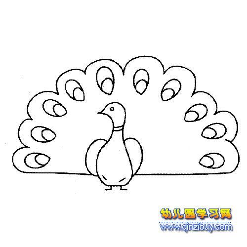 简笔画:美丽的孔雀3-幼儿园教案网