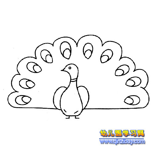 简笔画:美丽的孔雀3-幼儿园教案网