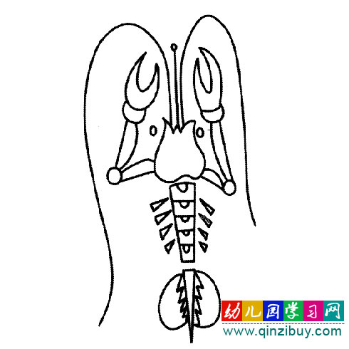 长胡须的虾(简笔画)